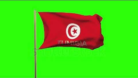 Tunisia flag with title waving in the wind. Looping sun rises style. Animation loop Stock video by