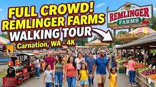 usa Carnation Remlinger Farms Family-Friendly Attraction A Memorable Fun Experience in Washington 4K