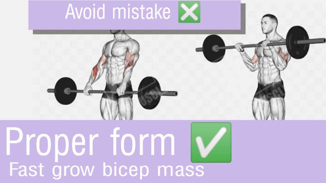 bicep barbell curls proper form avoid mistake to grow fast bicep muscle ...