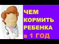 Чем кормить ребенка в 1 год? Режим питания