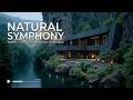 Ultimate Productivity | Instrumental Relaxing Beats & Ambient Focus for Mindful Work Flow