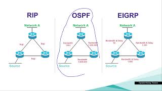 18 - Dynamic Routing Protocol