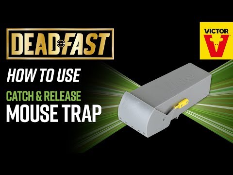 Deadfast Catch & Release Rat Cage Trap - Deadfast - Garden Health