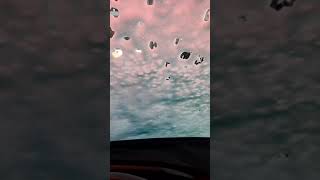 Quick Quack Car Wash Northgate Blvd screenshot 4