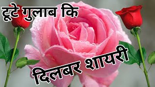 टूटे गुलाब कि दिलबर शायरी 🌹🌹|| Hindi Shayari 💘🌹|| Romantic Shandar Shayari 🌹 screenshot 5