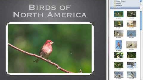 049 Apple Aperture2 Creating-advanced-slideshows-with-keynote