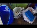 VÍDEO/Desmatelan tres laboratorios de cocaína
