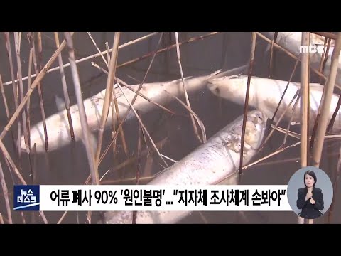 어류 폐사 90%가 <strong>원인</strong> 불명..부실 <strong>조사</strong> 대책 없나[목포MBC 뉴스투데이]