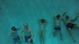 Journey Under The Sea With Mira Costa Surf Team Journey Under The Sea With Mira Costa Surf Team