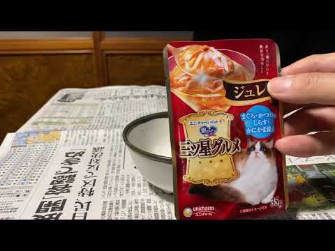銀のスプーン三ツ星グルメ　ジュレをあたえてみた