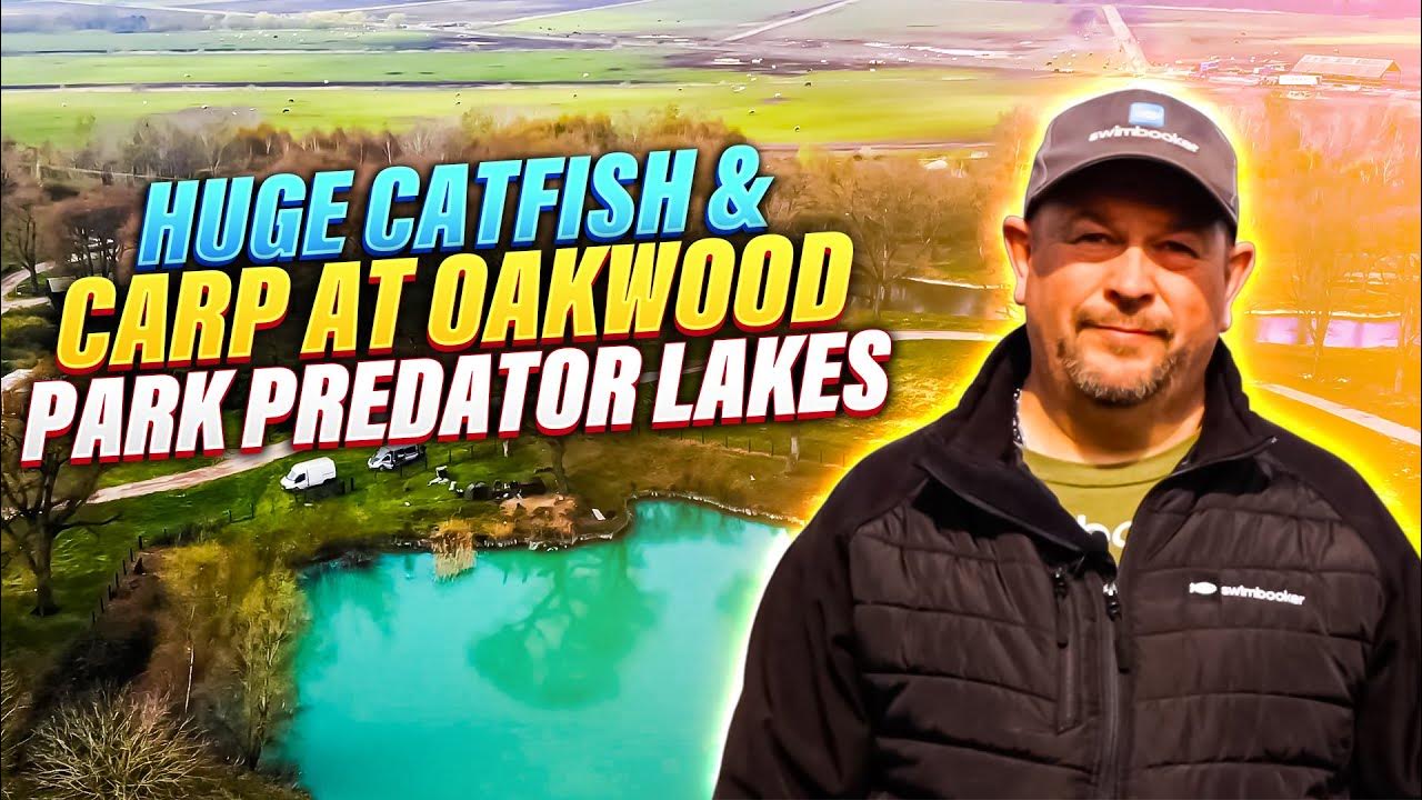 HUGE Catfish & Carp at Oakwood Park Predator Lakes, Norfolk! swimbooker™ Diaries YouTube