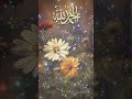 Dil ka sukoon ? / Islamic WhatsApp Status  #shortsfeed #shorts