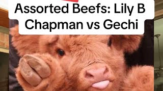 Assorted Beefs: Lily B Chapman vs Gechi (and her snark subreddit)