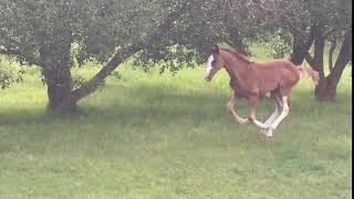 IMG 1556