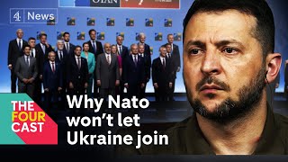 Why Ukraine isn't joining Nato  expert explains