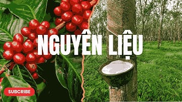 Assignment 2 - Tin học cơ sở