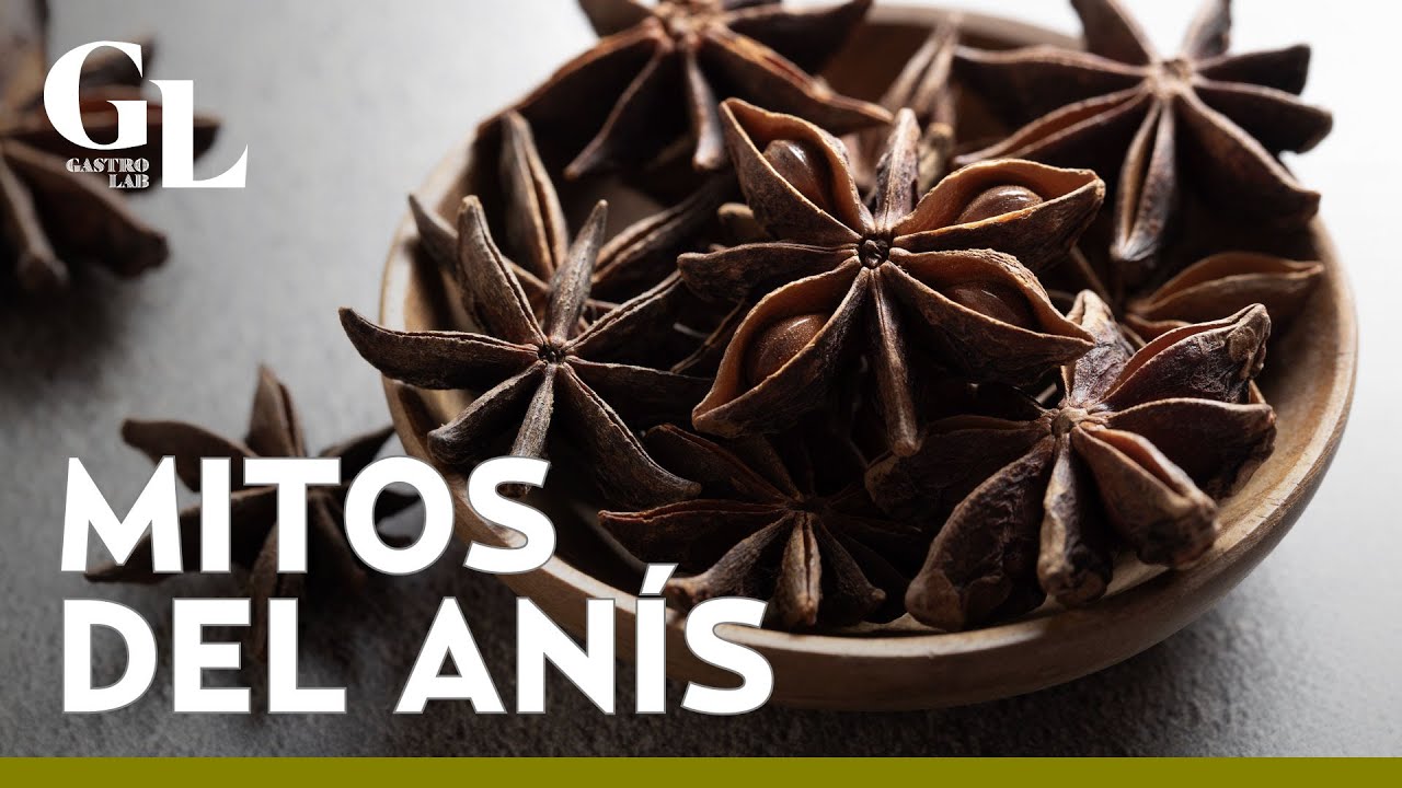 ¡Mejora tu digestión con el ANÍS! Descubre sus beneficios para la salud ...