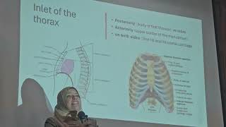 ANATOMY THORACIC WALLS