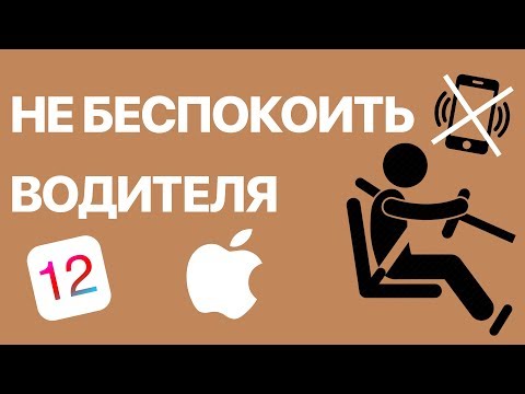 Как на iPhone включить режим Не беспокоить водителя? Активируем эту функцию вручную и автоматически