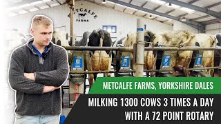 Milking 1300 Cows 3 times a day with a 72 Point Rotary - Metcalfe Farms, Yorkshire Dales