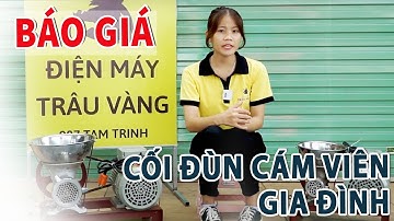 Báo giá MỚI NHẤT các dòng cối đùn cám viên gia đình