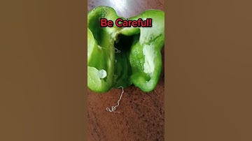 Be Careful with this snake! #food #foodlover #vegan #veggies #poison