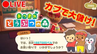 【生放送】視聴者さんの島にお邪魔して1カブ629ベルで3000カブ売ってみた！【あつまれどうぶつの森】【あつ森】