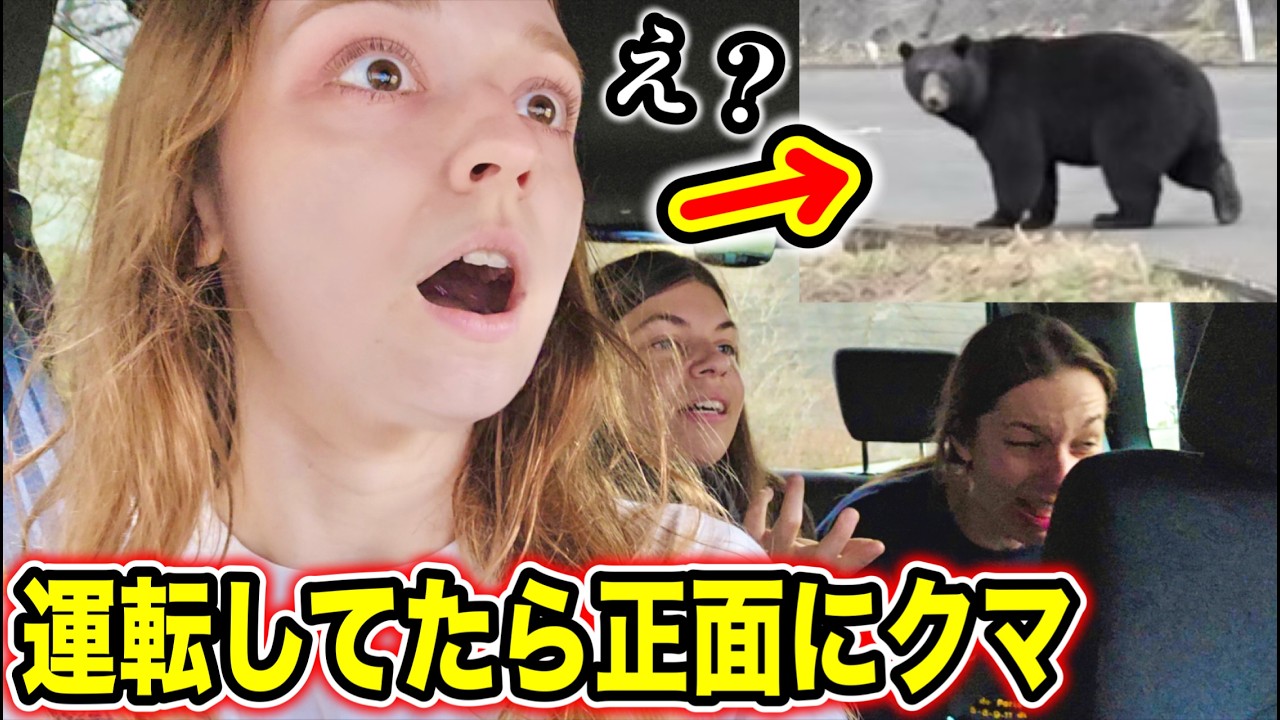 【初来日】日本観光してたらクマ出て震え上がる外国人