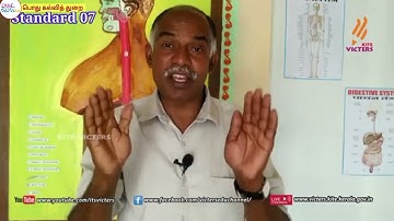 FB2 KITE Palakkad STD 7 Basic Science Episode 11 (First bell 2 Tamil medium - பஸ்ட் பெல் 2)