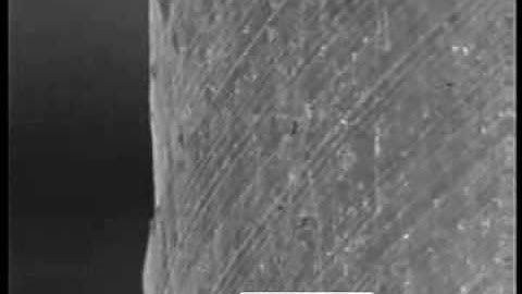 SEM study of slip development in deformed cadmium single crystal