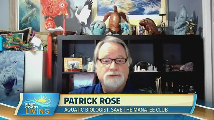 There's an unusually high mortality rate for manatees. How we can help.