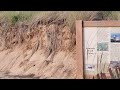 Montrose Beach Dunes #nature #naturelovers