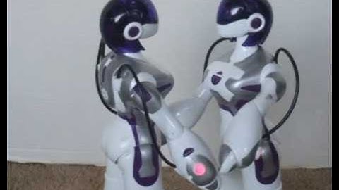 Kissing Robots
