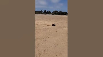 Arrma Senton Bash n Crash #rccar #arrma #bash #send #shorts #epiccrash