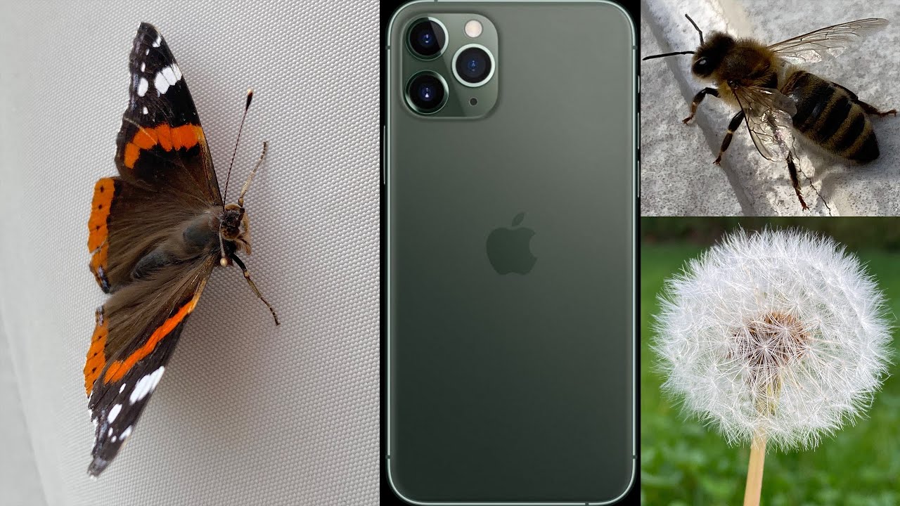 Does iPhone 11 have Macro mode?