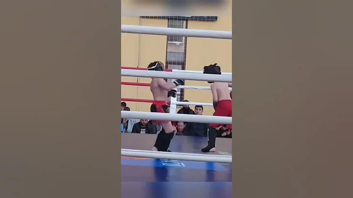 Ufc//top mma king // 1 // Davit Petrosyan lion #mm...