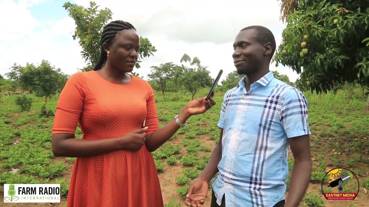 How farm radio programs have helped to enhance the agricultural value chain in  Amuria district