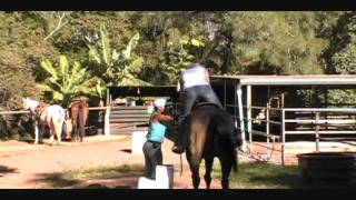 Jeremy and Brooke Hawaii Honeymoon video