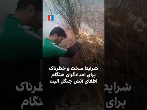 شرایط سخت و خطرناک برای امدادگران هنگام اطفای آتش جنگل الیت