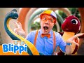 ブリッピーときょうりゅうのだいぼうけん🦖🦕 | シンガポールアドベンチャー | ブリッピー 日本語 - 幼児向け教育動画 Blippi