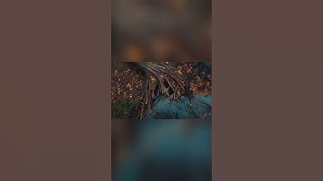 سورة الإنسان ( 6 - 9 ) .. صوت جميل