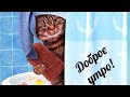 С ДОБРЫМ УТРОМ!!! Весёлая Открытка с Прикольными Котами!!!