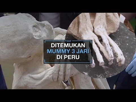 Video: Mumi Dan Kerangka: 