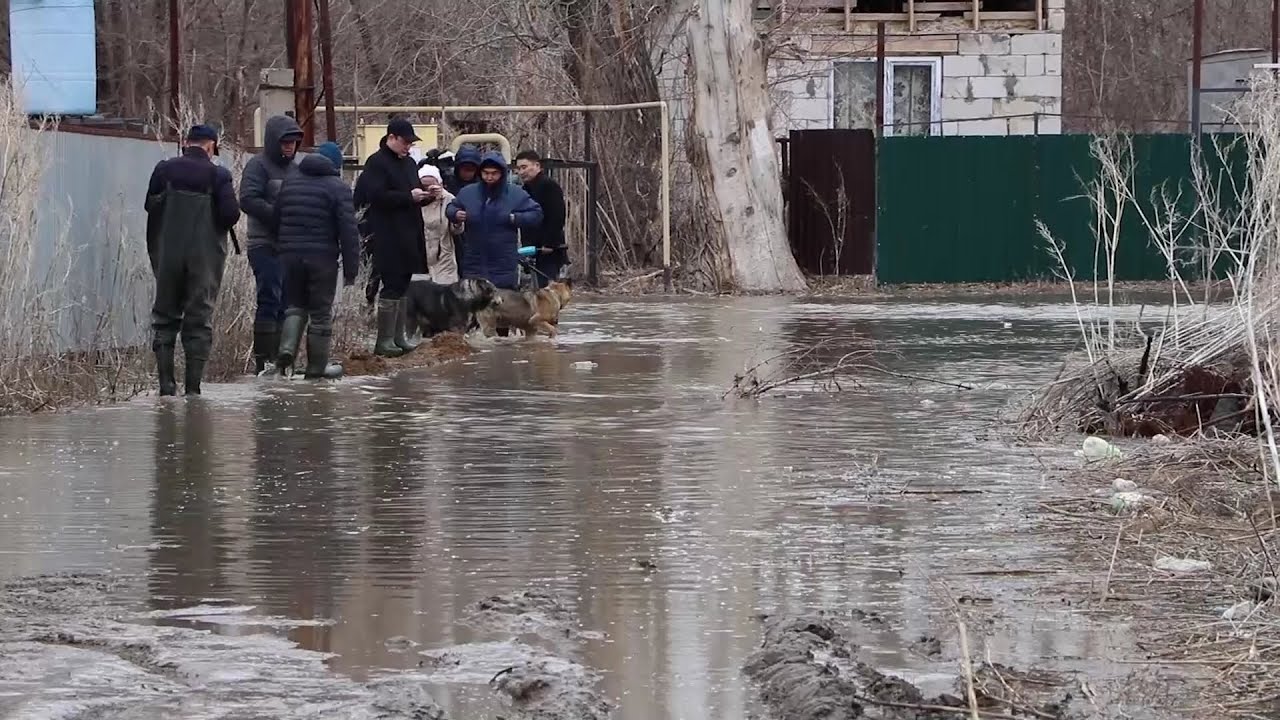 Паводки в казахстане уральск