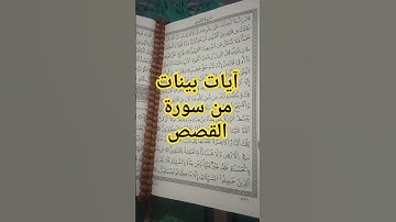 آيات بينات من #سورة_القصص #القرآن_الكريم #قرآن#اكسبلور#تيك_توك #لايك#حالات #حالات_واتساب#تلاوة_خاشعة