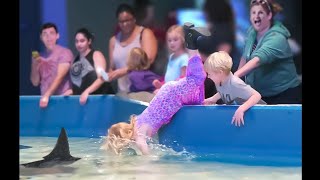 girl fell into the shark tank then...