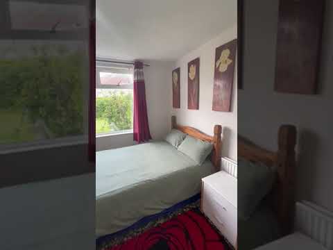 Video 1: