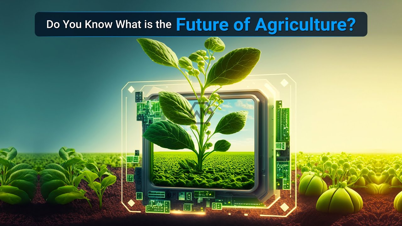 What is the Future of Agriculture? - YouTube