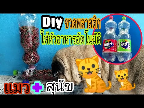 🐈Diyที่ให้หัวอาหารสุนัข,แมวอัตโนมัติจากขวดพลาสติกง่ายๆ/พ่อบ้านยุคใหม่/🐈