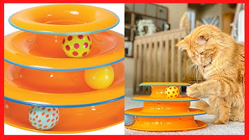 Petstages Cat Tracks Cat Toy, stemir sir, nicolay cattery